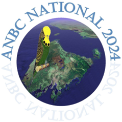 anbc tasmania 2024 logo